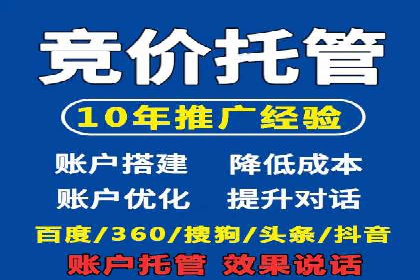 某行业竞价推广的挑战与机遇——多案例研究